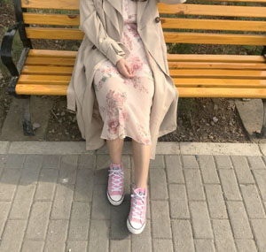 航海王樱花动漫