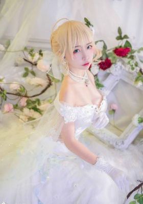 智者无敌1-40集全免费